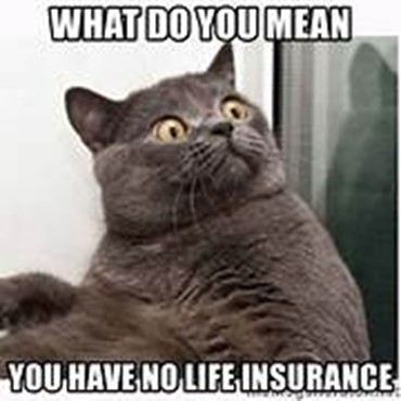 Meme on term insurance